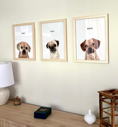 Three framed dog portraits for Penny, Daisy, and Rosie displayed together on a wall